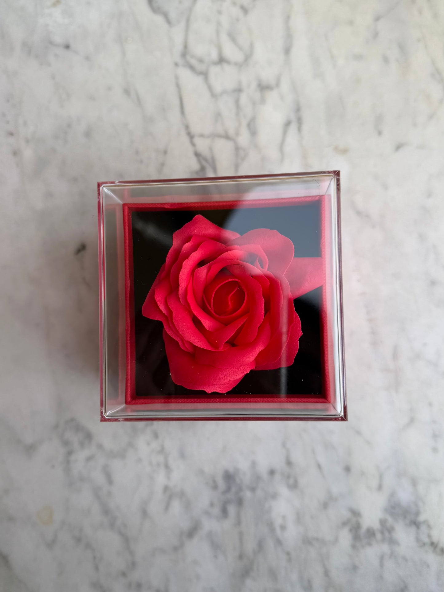 ROSA ETERNA