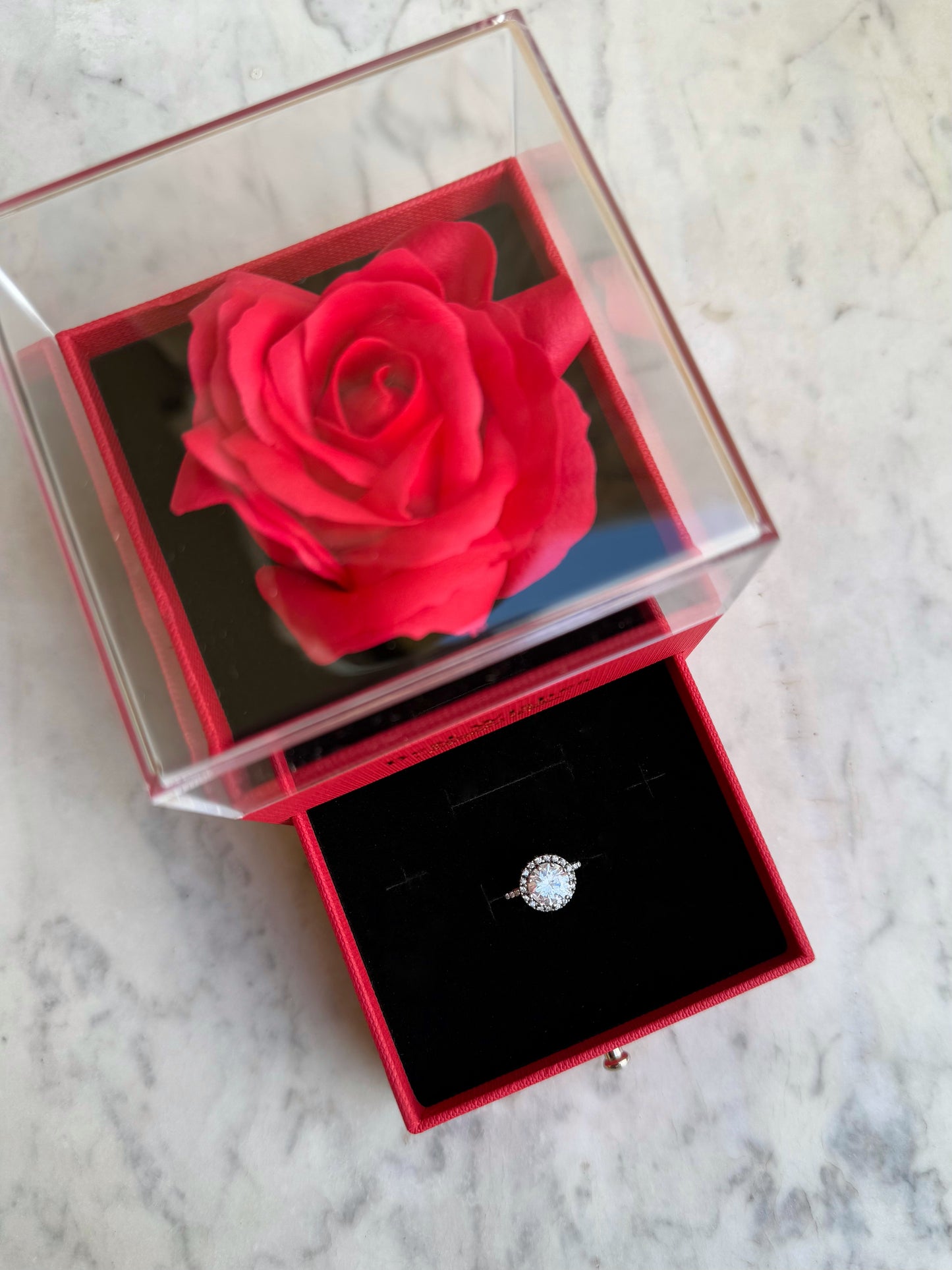 ROSA ETERNA